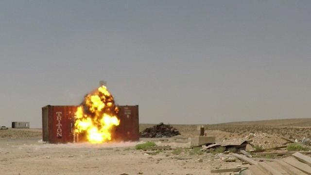 Фото: "Таaсия aвирит"