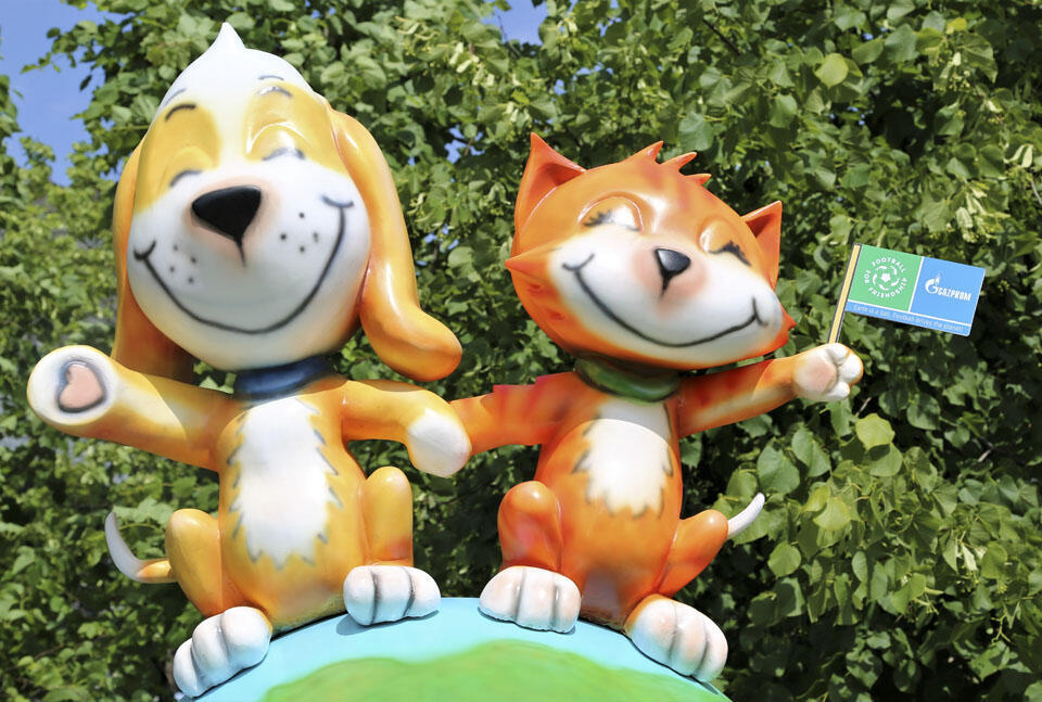 Фото: Вести