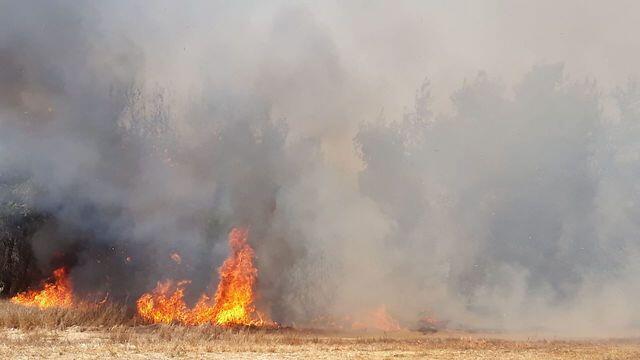 Fire caused by incendiary kites and balloons
