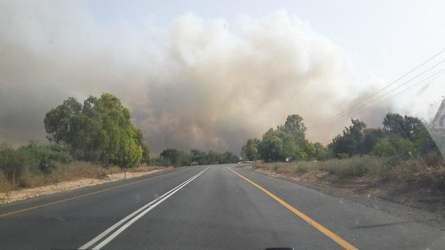 Fire near Kibbutz Re'im (צילום: מרב מירוצניק ) Fire near Kibbutz Re'im