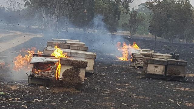 Фото: пресс-служба Управления национальных заповедников и парков