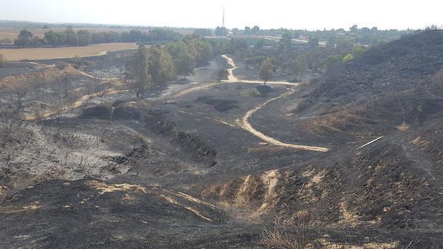 scorched farmland and woodland amid incendiary balloons 