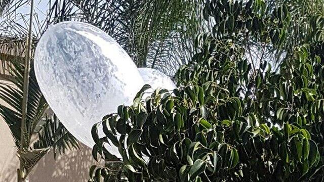 Incendiary balloons in Beit HaGadi