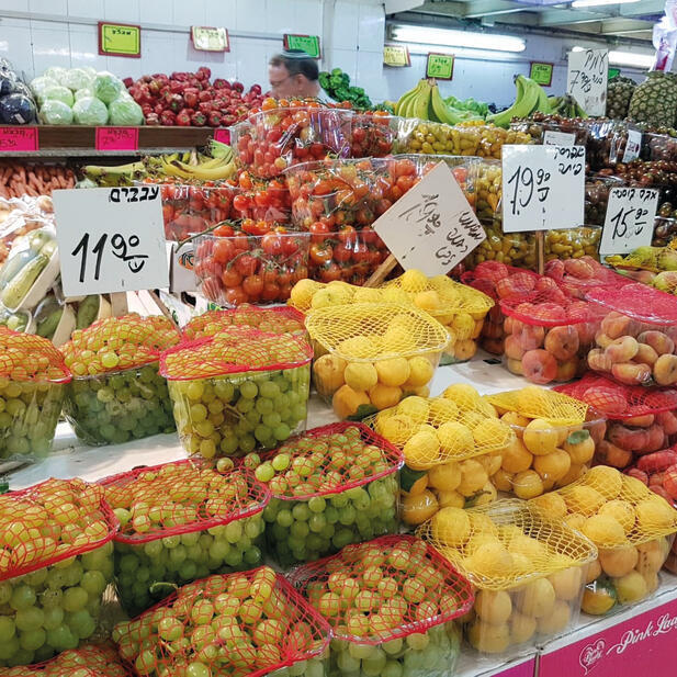 Фото: Яэль Фридсонnullnull Фото: Яэль Фридсон