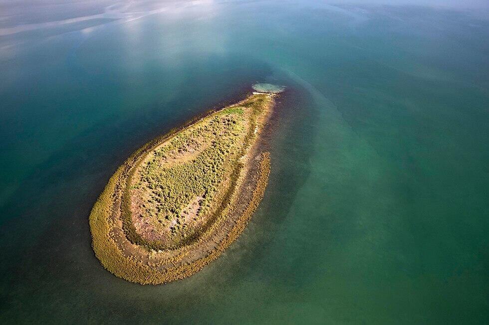 Expanding island in the middle of the Kinneret 