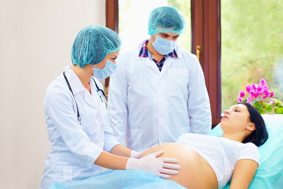 Фото: shutterstock.com (צילום: shutterstock) Фото: shutterstock.com