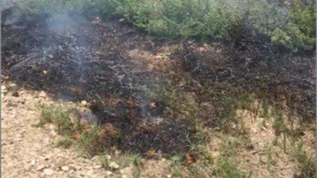 Fire caused by an incendiary balloon in Nir Am