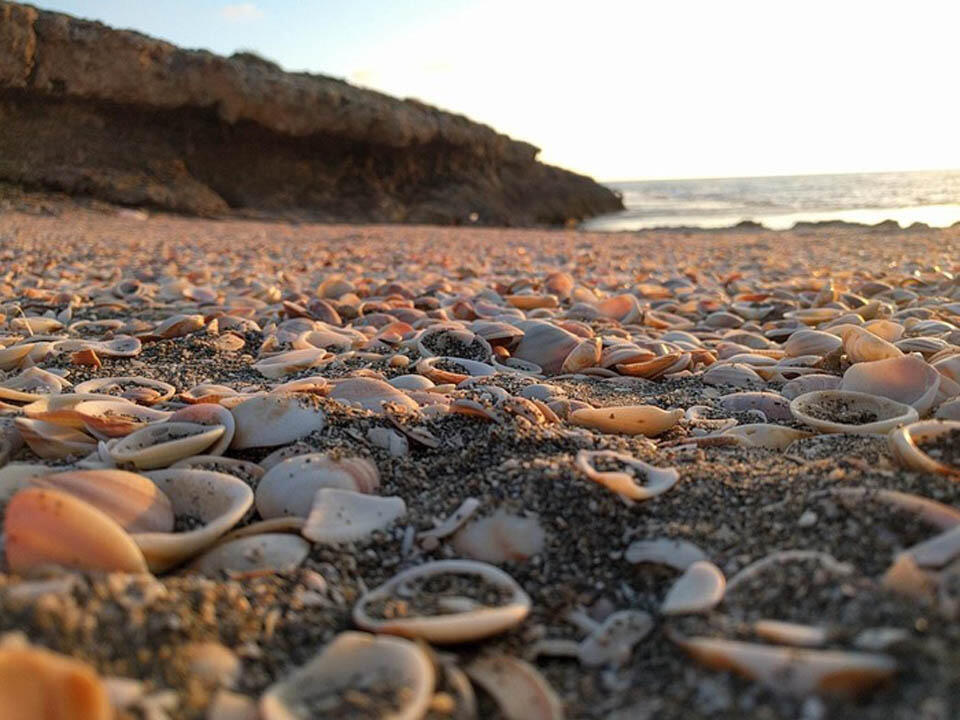 Фото: Бар Сулами