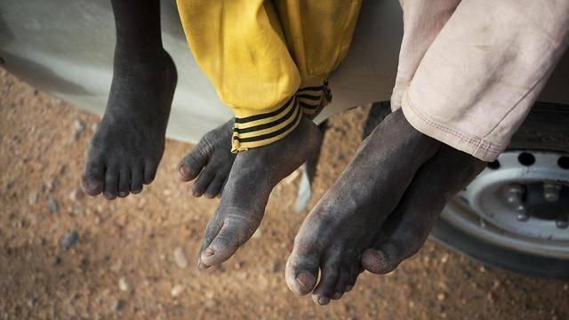 Фото: AP (צילום: AP) Фото: AP