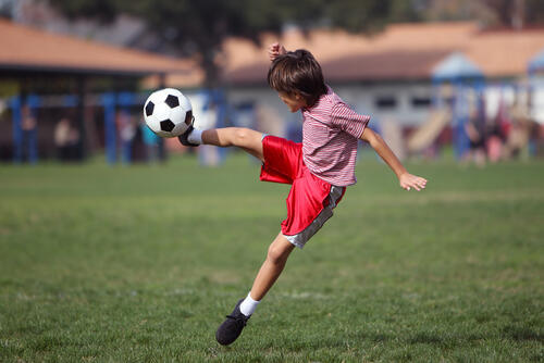 Фото: shutterstock