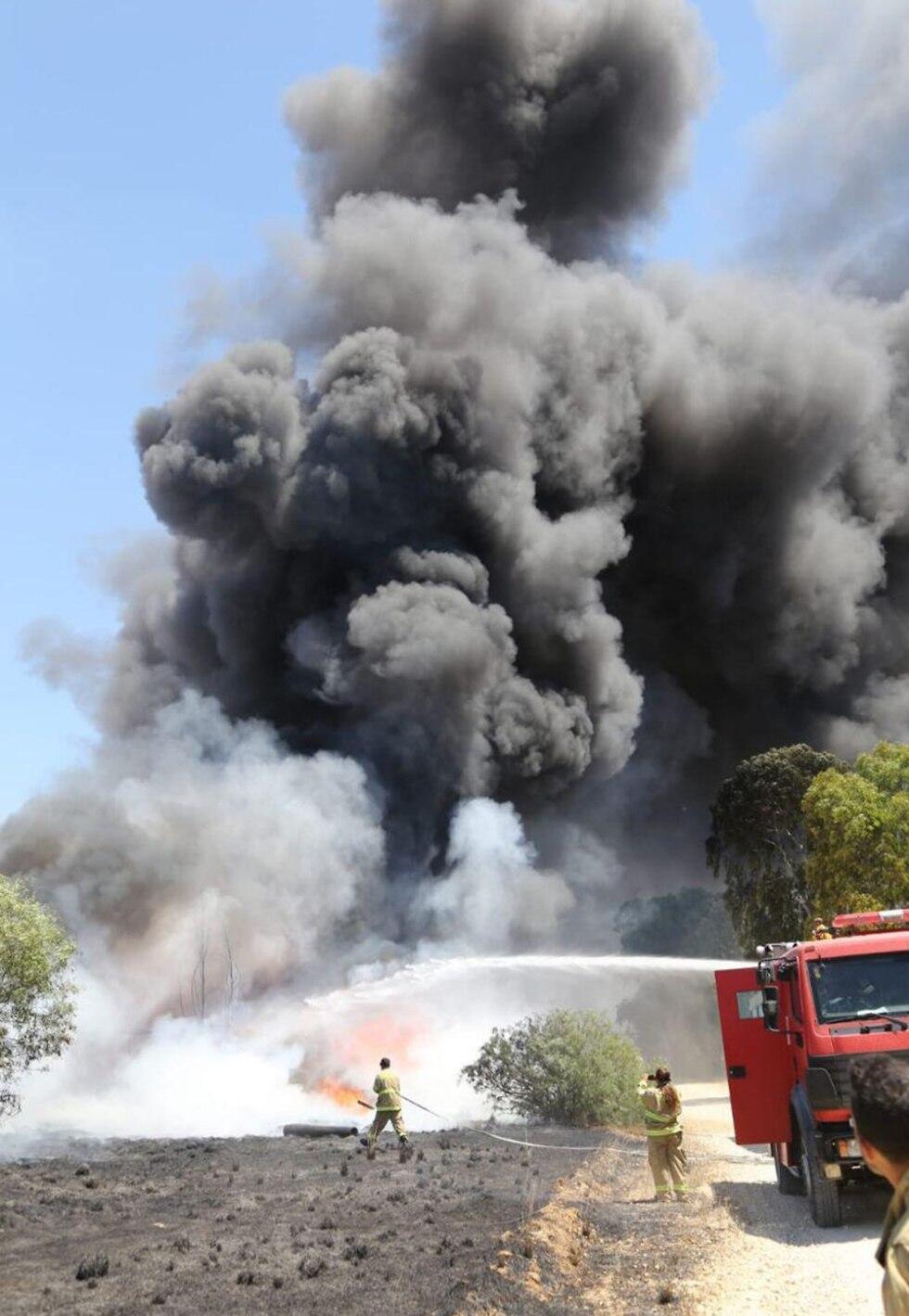 צילום: איציק לוגסי, יערן קק״ל
