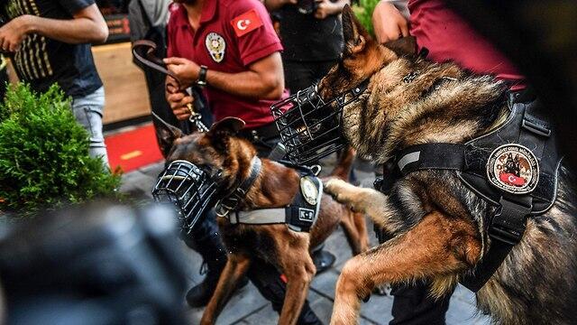 Фото: AFP