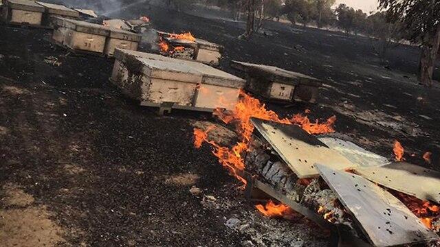 Scorched land in Israel's southern communities 