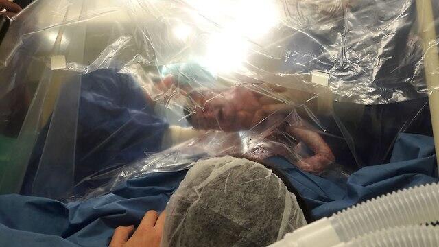 Фото: Гамида (צילום: גאמידה) Фото: Гамида