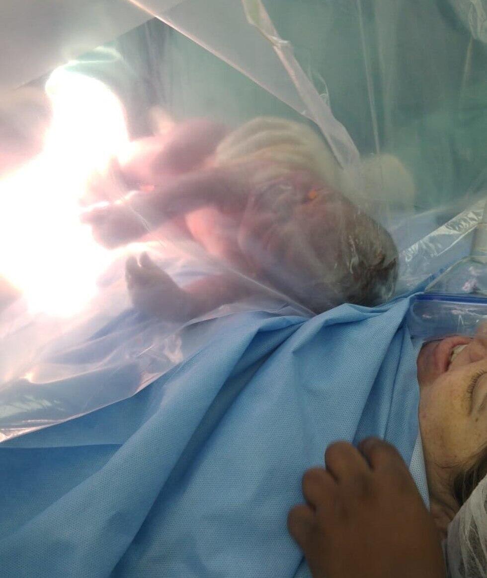 Новорожденный за прозрачной перегородкой. Фото: "Гамида" (צילום: גאמידה) Новорожденный за прозрачной перегородкой. Фото: "Гамида"