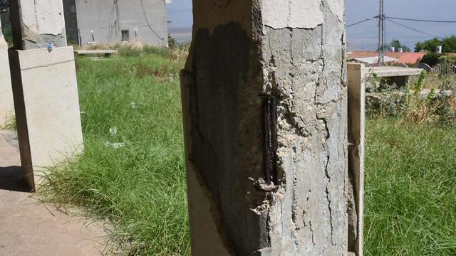 צילום: אביהו שפירא