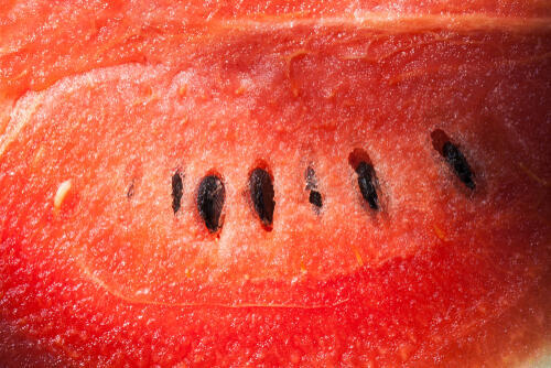 Фото: shutterstock (Фото: shutterstock) Фото: shutterstock