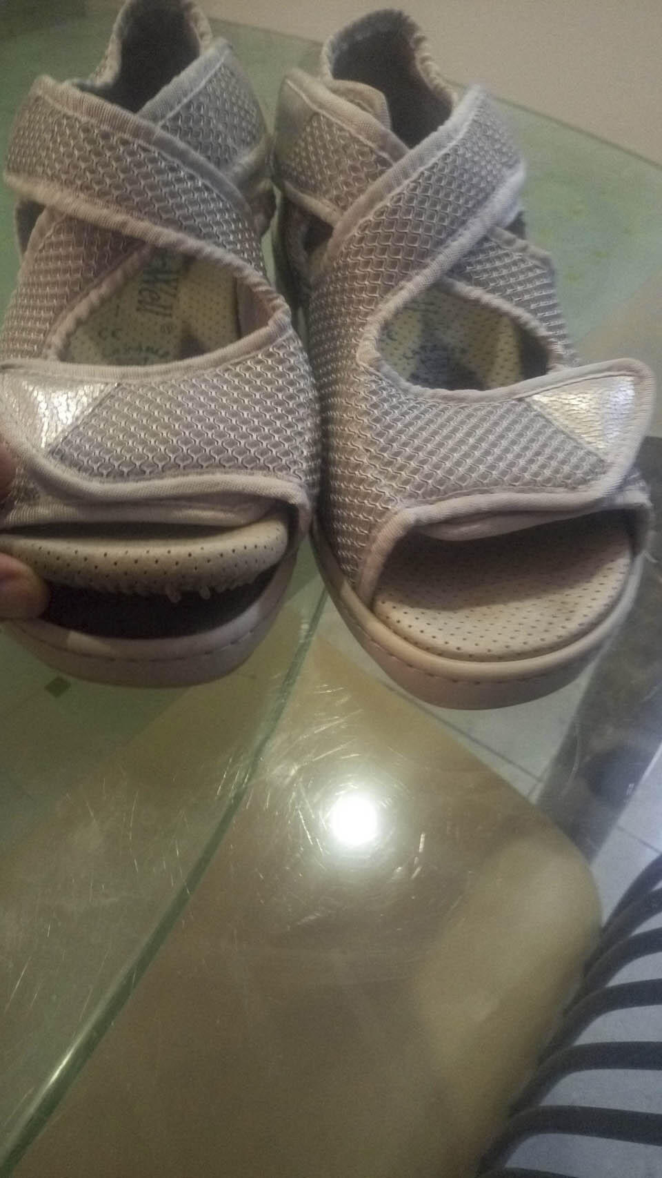 Фото: Елена Гросс (Фото: Елена Гросс) Фото: Елена Гросс