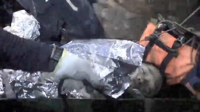 Фото: AFP (צילום: AFP) Фото: AFP