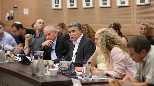 Заседание специального подкомитета в кнессете. Фото: Алекс Коломойский