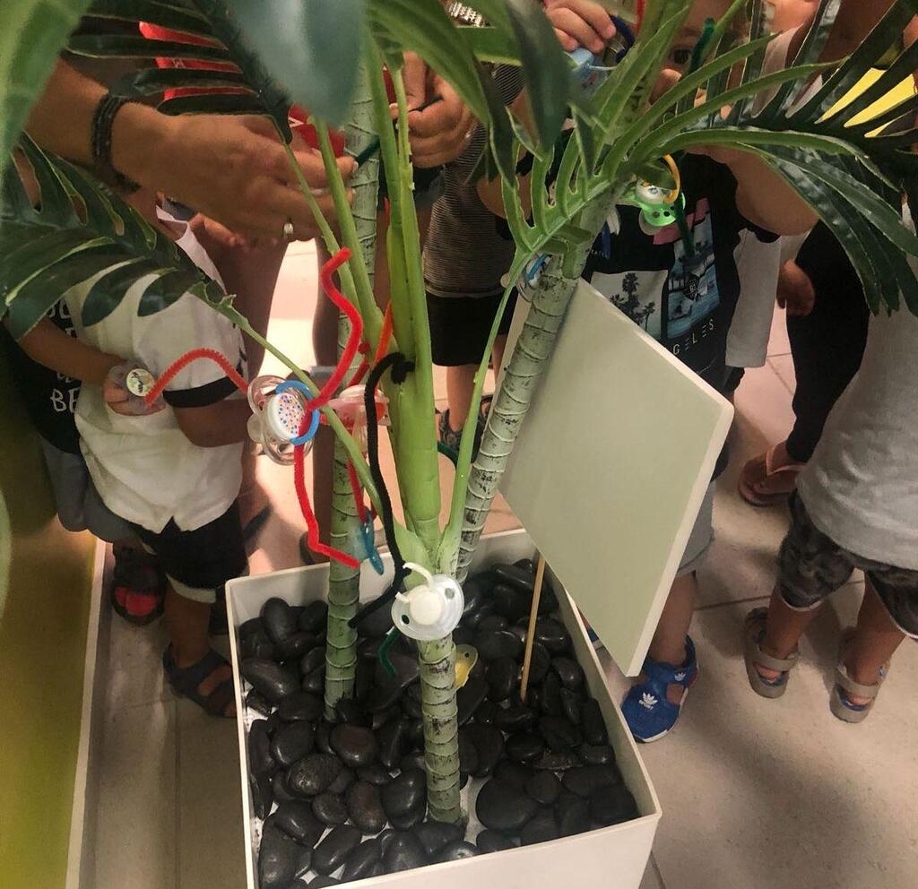 Фото: пресс-служба "Клалит" (Фото: пресс-служба "Клалит") Фото: пресс-служба "Клалит"