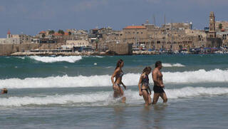 דוח מדאיג: הים התיכון מתחמם, מינים פולשים מגיעים