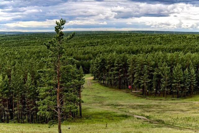 Якутия. Фото: Макс Лурье (Фото: Макс Лурье) Якутия. Фото: Макс Лурье