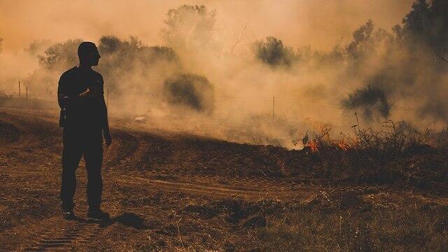 Фото: Томер Альмакейс (צילום: תומר אלמקייס) Фото: Томер Альмакейс