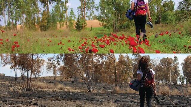 Фото: Элишева Финкель (צילום: אלישבע פי פינקל ) Фото: Элишева Финкель