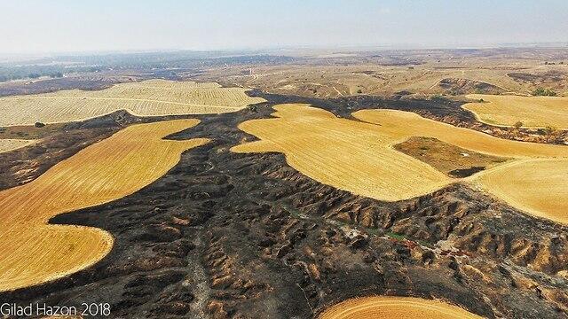צילום: גלעד חסון