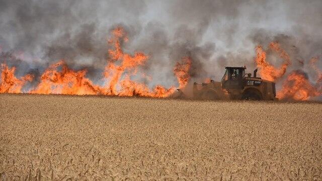 Fire caused by incendiary kites in the Gaza envelope (צילום: זהר שפק) Fire caused by incendiary kites in the Gaza envelope