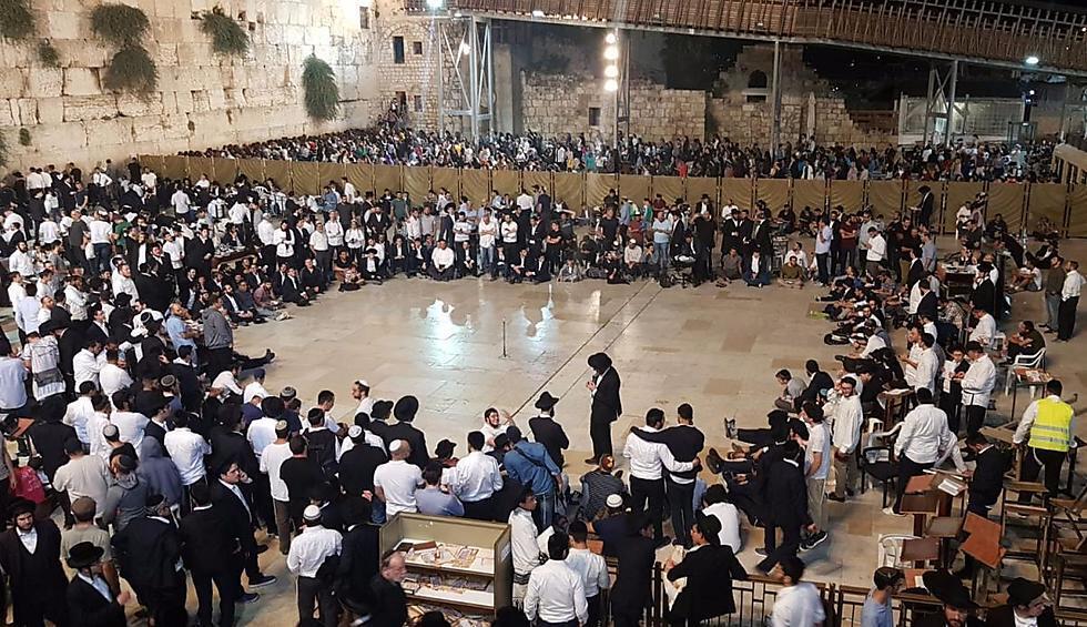 Фото: Эли Мандельбаум (צילום: אלי מנדלבאום) Фото: Эли Мандельбаум