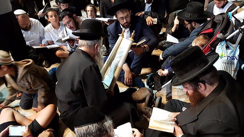 Фото: Эли Мандельбаум (צילום: אלי מנדלבאום) Фото: Эли Мандельбаум