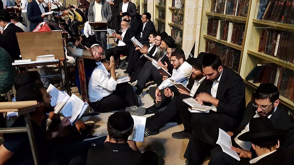 Фото: Эли Мандельбаум (צילום: אלי מנדלבאום) Фото: Эли Мандельбаум