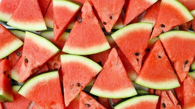 Фото: shutterstock