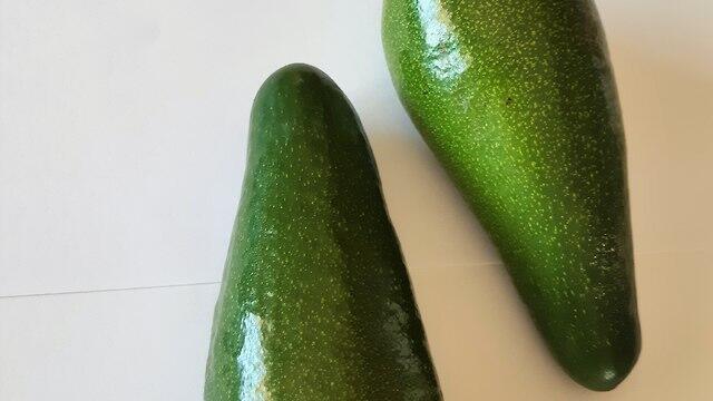 Авокадо сорта "галиль". Фото: совет по сельскохозяйственным растениям