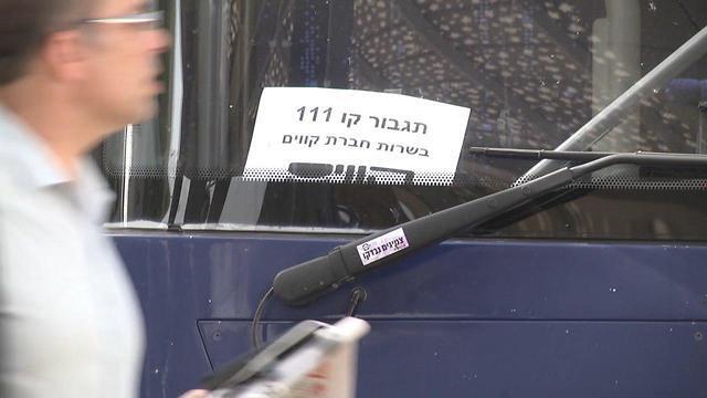 Фото: Ави Хай (צילום: אבי חי, אורי דוידוביץ) Фото: Ави Хай