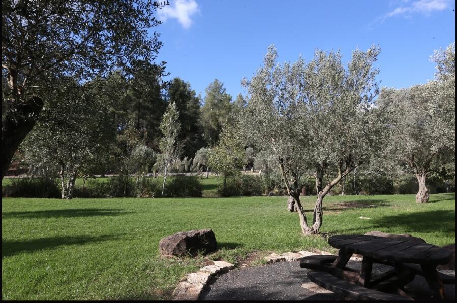 Фото: пресс-служба ККЛ