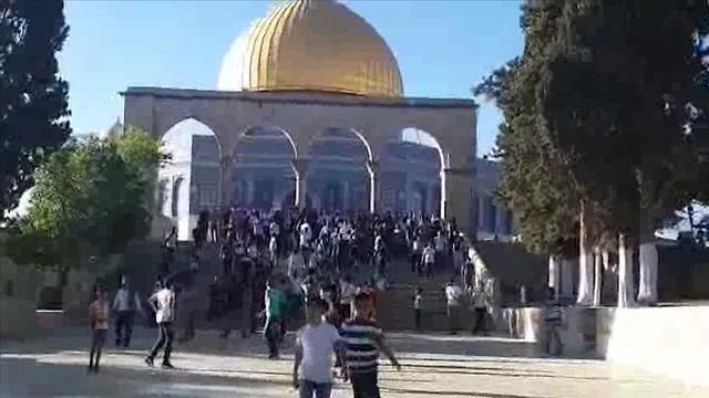 Палестинцы на Храмовой гореnullnull Палестинцы на Храмовой горе