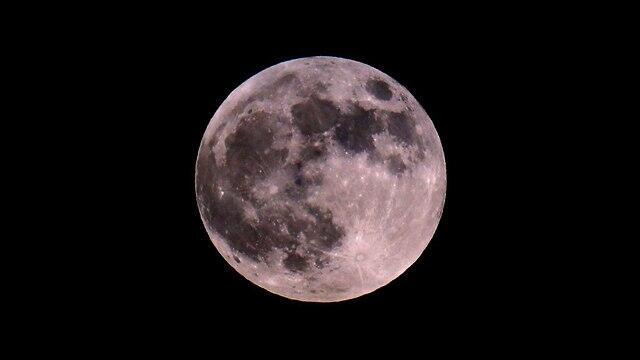 В Негеве. Фото: AFP