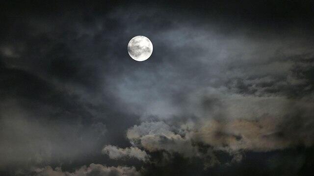 Индия. Фото: AFP