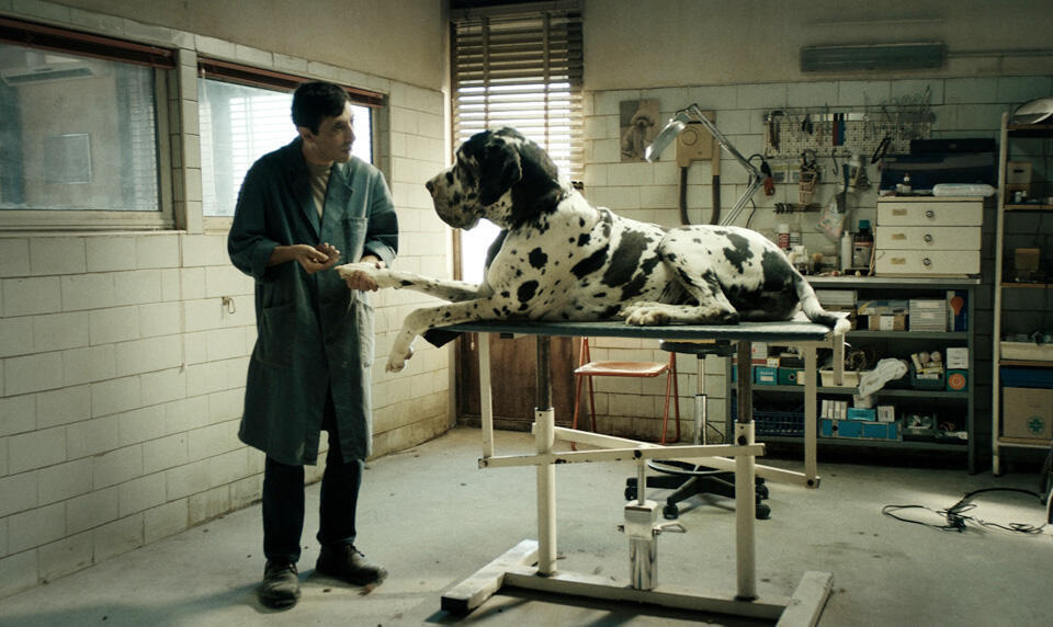 Кадр из итало-французского фильма "Догмэн". Фото: пресс-служба фестиваляnullnull Кадр из итало-французского фильма "Догмэн". Фото: пресс-служба фестиваля