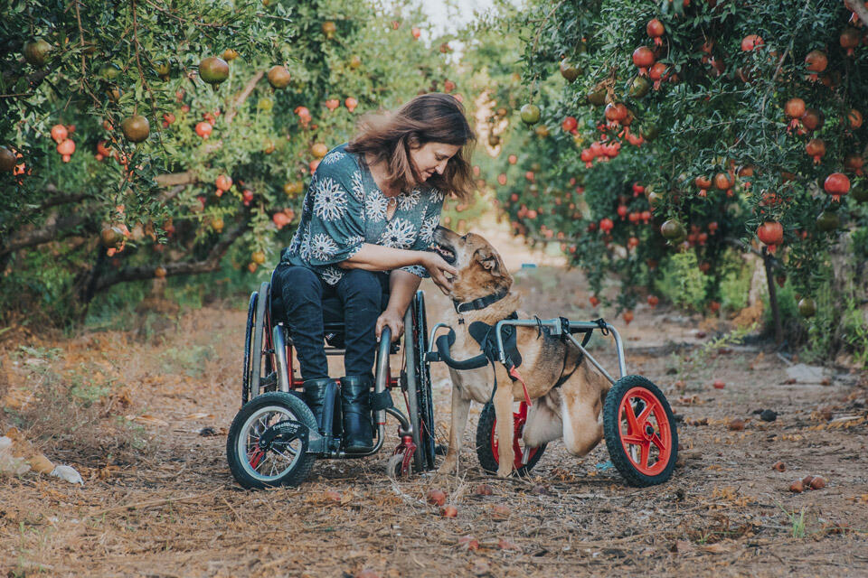 Фото: Ротем Дозетас (Фото: Ротем Дозетас) Фото: Ротем Дозетас