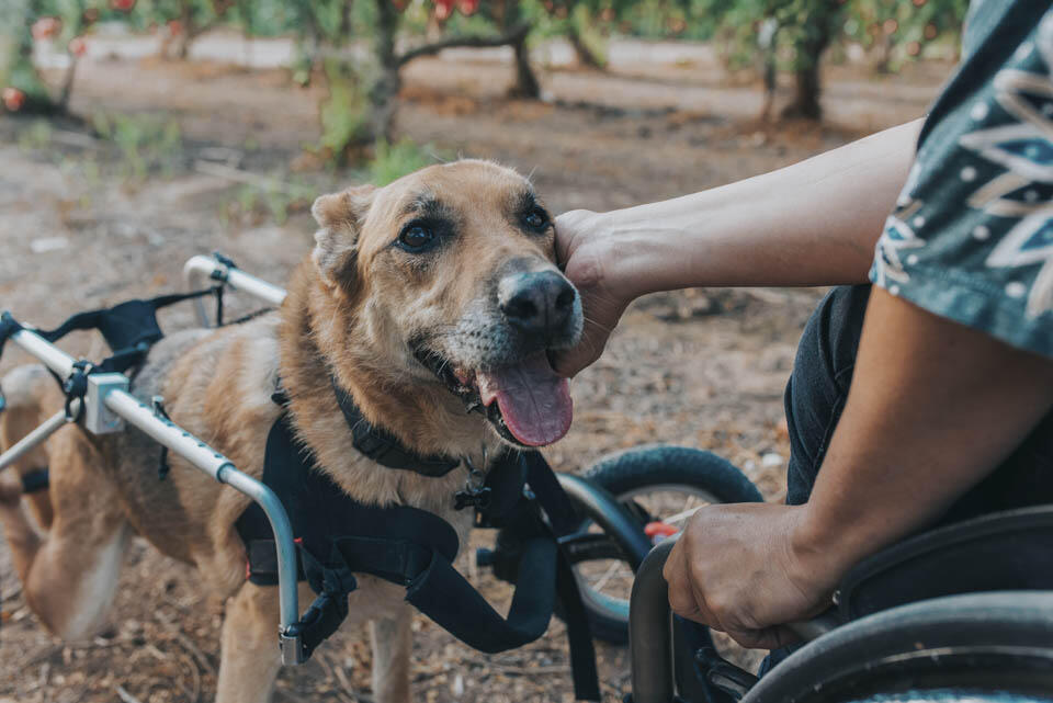 Крузо. Фото: Ротем Дозетас (Фото: Ротем Дозетас) Крузо. Фото: Ротем Дозетас