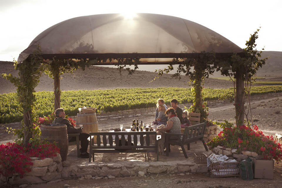 Винодельня "Нана". Фото: Шарон Даари (Фото: Шарон Даари) Винодельня "Нана". Фото: Шарон Даари