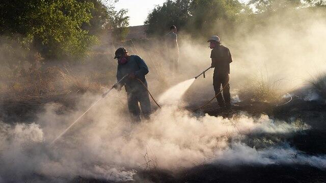 Volunteers in action near Gaza