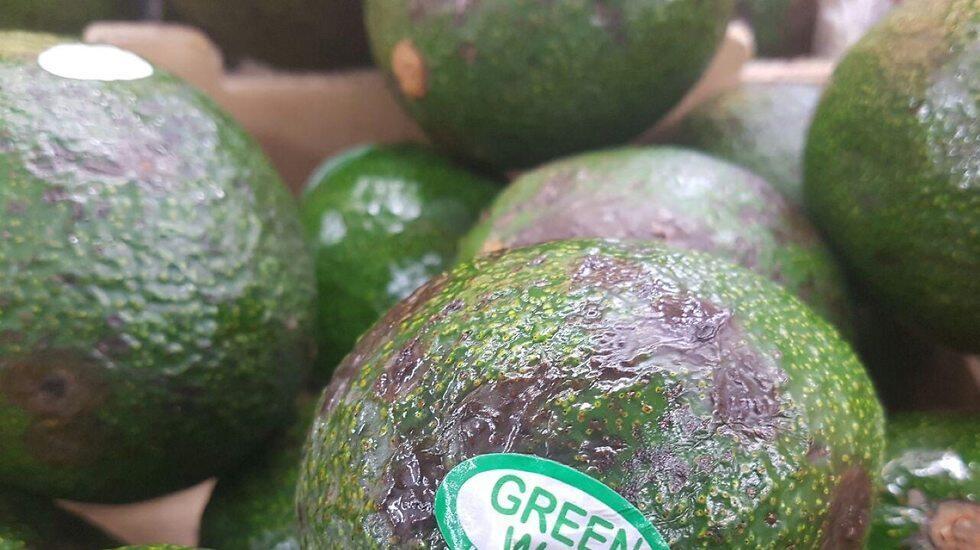 Авокадо. Фото: Мейрав Кристалл 