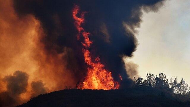 Пожар в Калифорнии. Фото: AFP