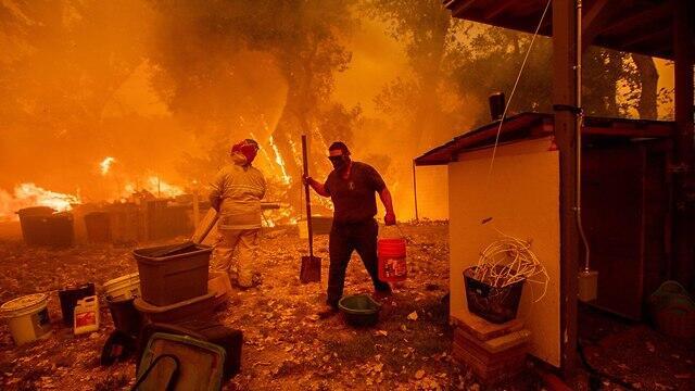 Пожар в Калифорнии. Фото: AFP