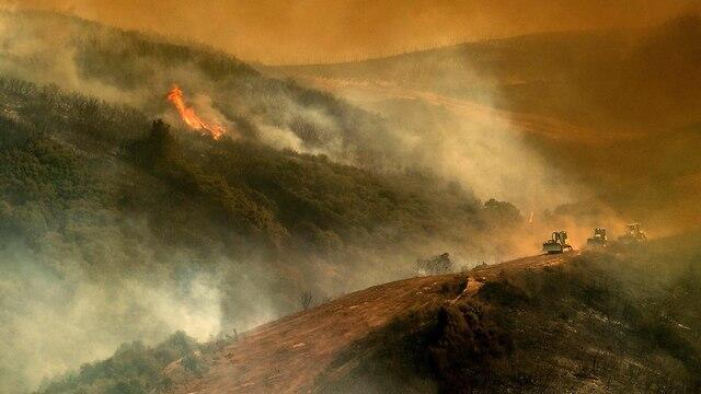 Пожар в Калифорнии. Фото: AFP